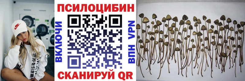 Псилоцибиновые грибы мухоморы  Купить закладки  Ленинградская 